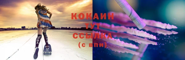 молекула духа Михайловск