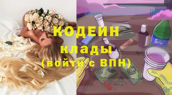 ешки Михайлов