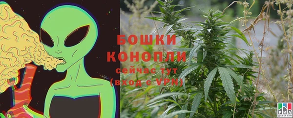 молекула духа Михайловск
