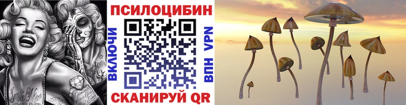 блэк спрут зеркало  Никольск  Псилоцибиновые грибы мухоморы 
